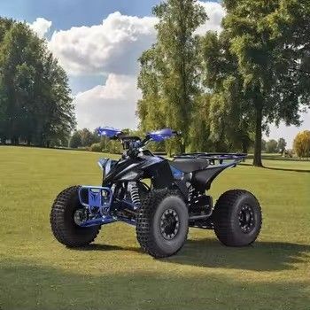 Vitesse maximale ≤ 50 km/h 1500 W quad à quatre roues ATV pour adultes avec empattement 600-1000 mm