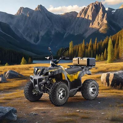 DISC frein électrique 3000w Dune Buggy pour adultes 1500w*2 UTV ATV 4x4 Off-Road Vehicle