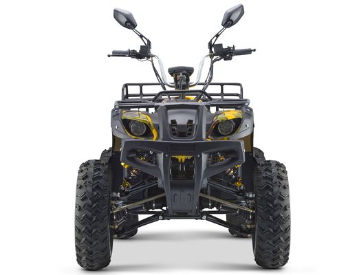 Vitesse maximale de 50 à 75 km/h VTT électrique de 3000 W avec 4 roues motrices et boîte automatique de 60 V