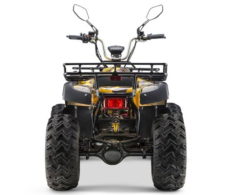 Vitesse maximale de 50 à 75 km/h VTT électrique de 3000 W avec 4 roues motrices et boîte automatique de 60 V