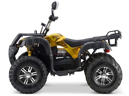 Vitesse maximale de 50 à 75 km/h VTT électrique de 3000 W avec 4 roues motrices et boîte automatique de 60 V