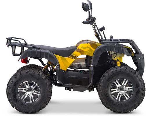 3000W 2wd/4wd ATV UTV Route Motocyclette tout-terrain à quatre roues avec type de conduite commutable
