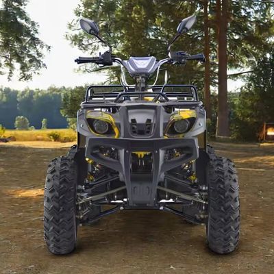 Puissant 3000W 1500W 4WD 4x4 Moto ATV UTV 1000cc Quad ATV avec empattement 1800-2200mm