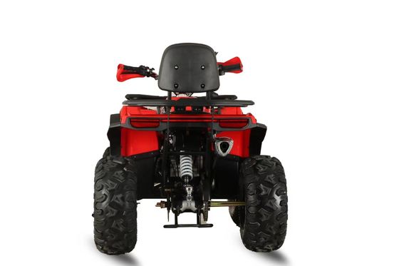 Découvrez le meilleur off-road avec le quad de 200 cc 4x4 d'Aotong Motor