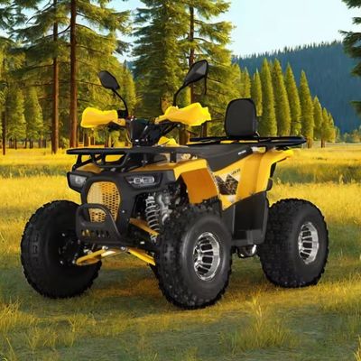 125cc Farm Quads ATV pour adultes Puissant moteur à gaz / diesel et chaîne motrice