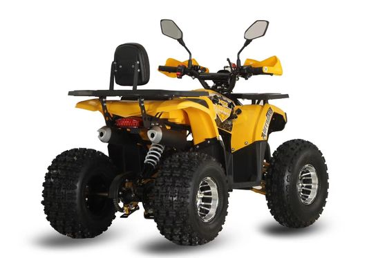 125cc Farm Quads ATV pour adultes Puissant moteur à gaz / diesel et chaîne motrice