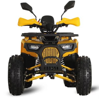 125cc Farm Quads ATV pour adultes Puissant moteur à gaz / diesel et chaîne motrice