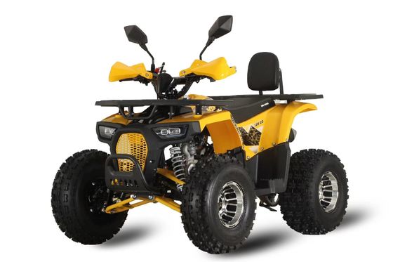 Des couleurs personnalisées et supportées Puissant 125 cc à traction en chaîne VTT de course au gaz pour adultes