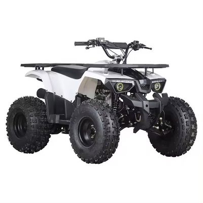 Transmission automatique Moteur Aotong 110cc 125cc 150cc Cuatrimoto ATV pour les adultes