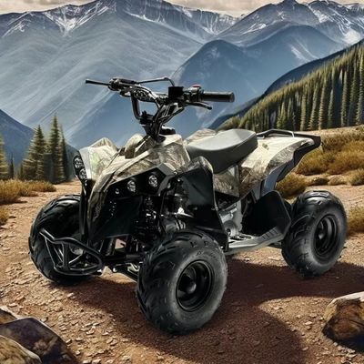 VTT à carburant au gaz 110CC alimenté par système de transmission à traction en chaîne