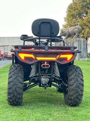 350cc 4 temps refroidi à l'eau 4x4 Quad Bikes moteur Bashan et polyvalent pour n'importe qui