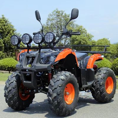 110cc 125cc ATV à prix abordable Automatic Chain Drive avec verrouillage différentiel non équipé