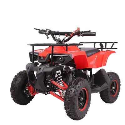 Mini 50cc alimenté à l'essence pour enfants ATV 4 roues Quad Bike Motocycle avec poids au bord ≤100kg