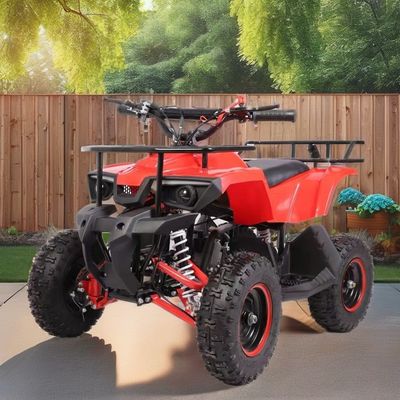 Mini-quad de 49 cc à faible consommation de carburant couple maximal Nm ≤ 20Nm