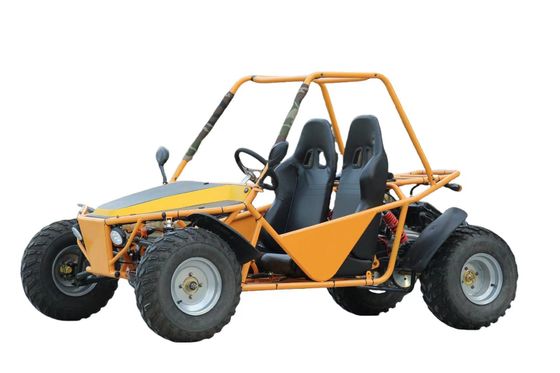 Adult Outdoor Drive Go Kart avec moteur de 200cc couple maximal ≤ 20Nm et pare-chocs de sécurité