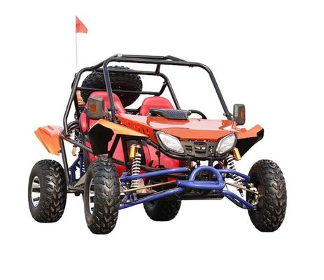200cc Go Karts ATV Quad 2WD Buggy tout-terrain avec pneus sous vide et 200-300kg de poids au bord du gouvernail