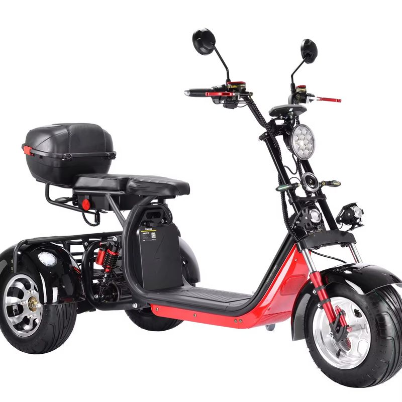 Citycoco 3 roues scooter électrique 3000w 2000 watts Citycoco deux places large roue route