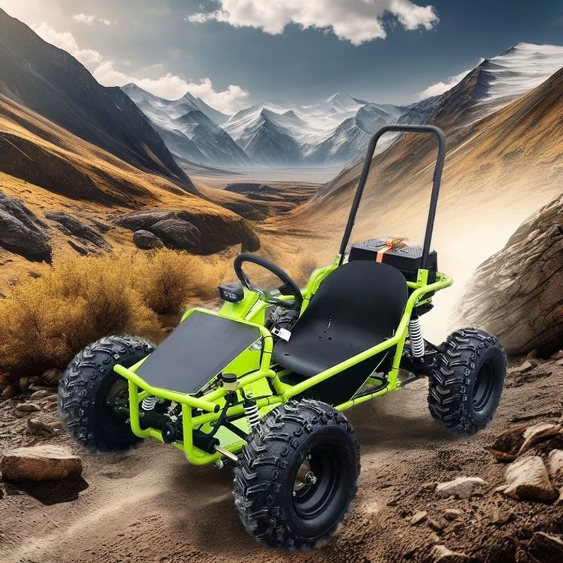 Electric Kids Go Kart avec 2024 1000W 1200W moteur sans balai et Big Power 3 Speed Buggy
