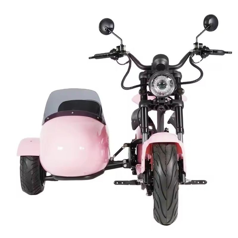 Moto électrique à sidecar avec porte-animaux 1000W-3000W 60-80km Autonomie 41-50km/h Vitesse maximale