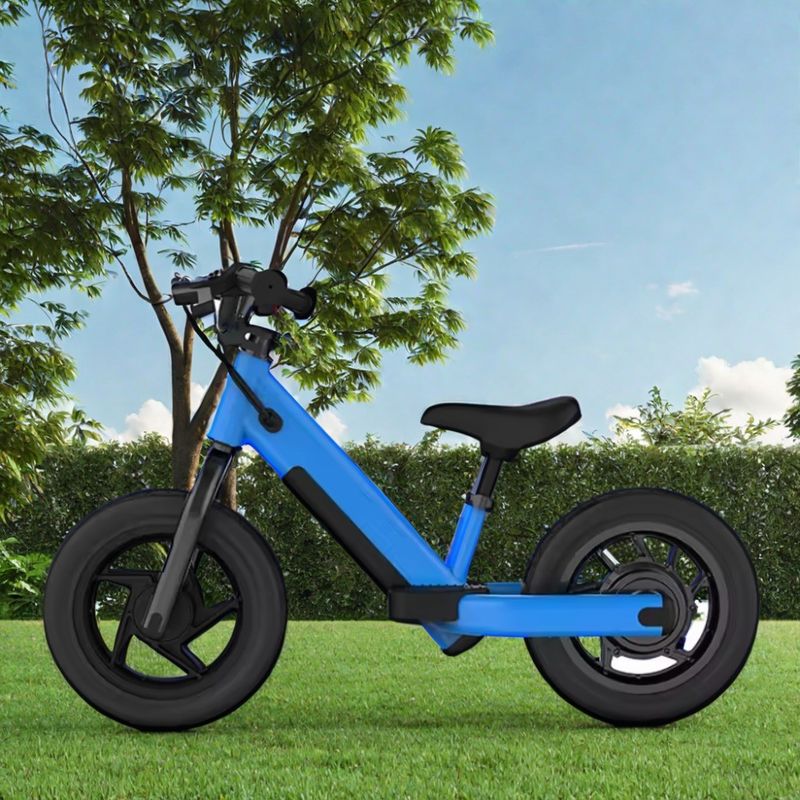 Vélo d'équilibre électrique pour enfants Mini vélo à disque frein et cadre en acier pour tout-petits