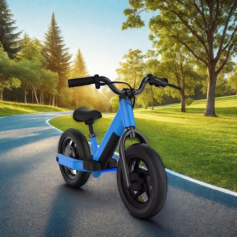 L'aventure tout-terrain facilité avec un vélo électrique de 200W et une batterie de 24V