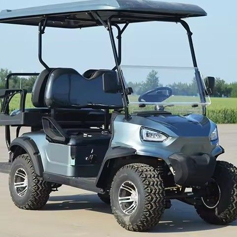 Carton de golf électrique sur route sur mesure de 3500W avec 5-7h de charge et de support
