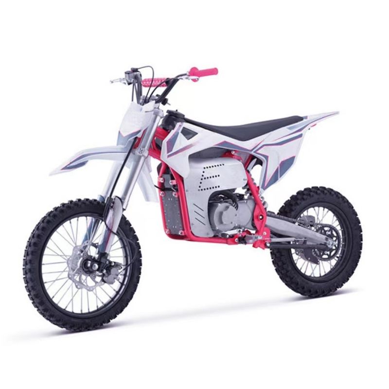Moto électrique tout-terrain 2000W 48V 60V avec batterie amovible et frein à double huile