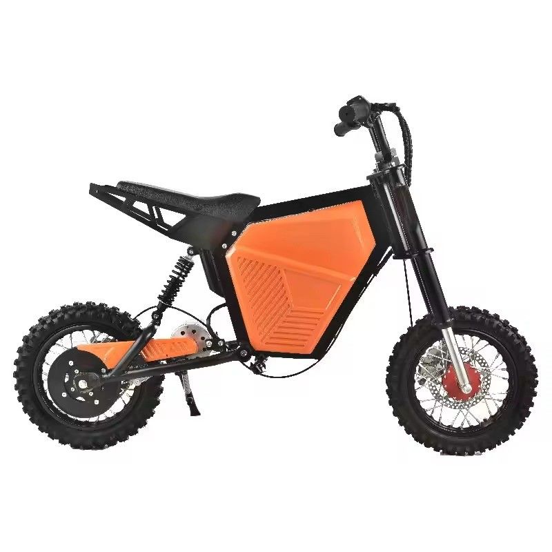 Off-Road Motocycles 500W Vélo de montagne électrique 36V pour une expérience de conduite ultime