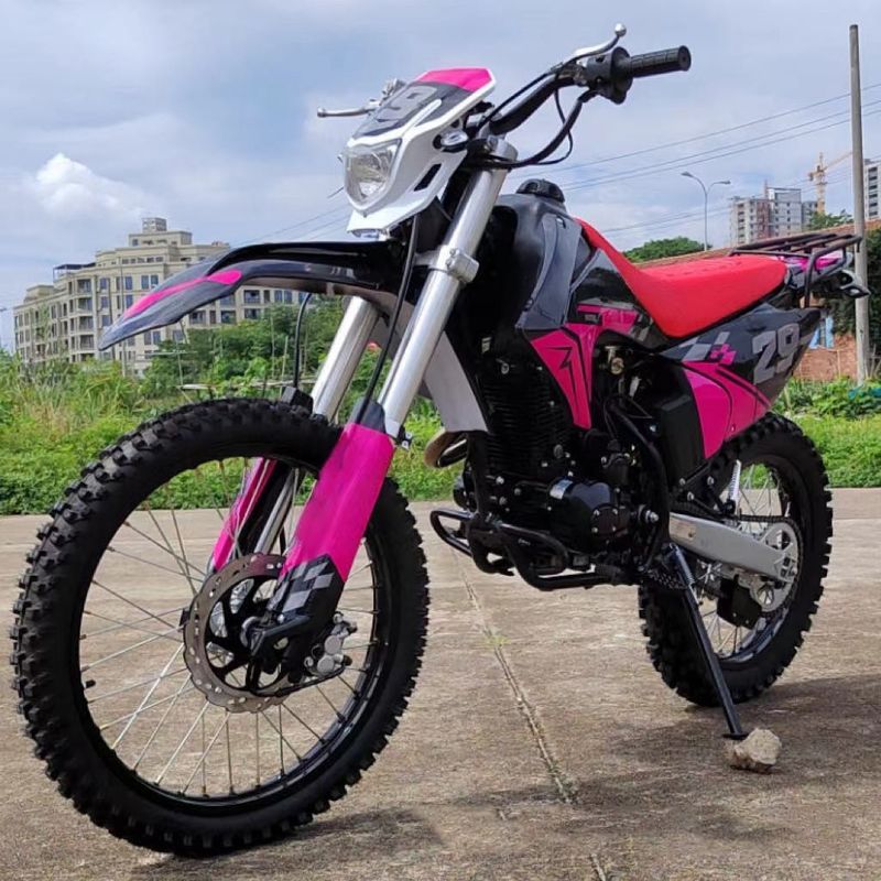 Le démarrage électrique 250cc Enduro Dirt Bike Max. Vitesse 100km/h Idéal pour les aventures hors route
