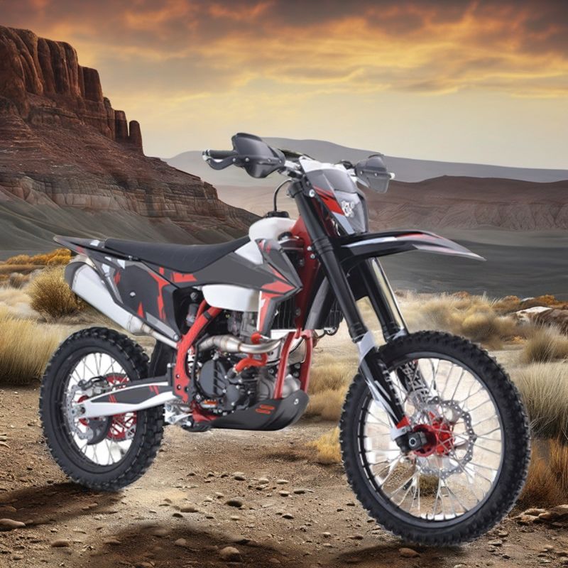 Moteur Aotong Pit Bike Dirt Bike Pocket Bike Moto Cross Moteur d'alimentation de 300 cc Disque de freinage