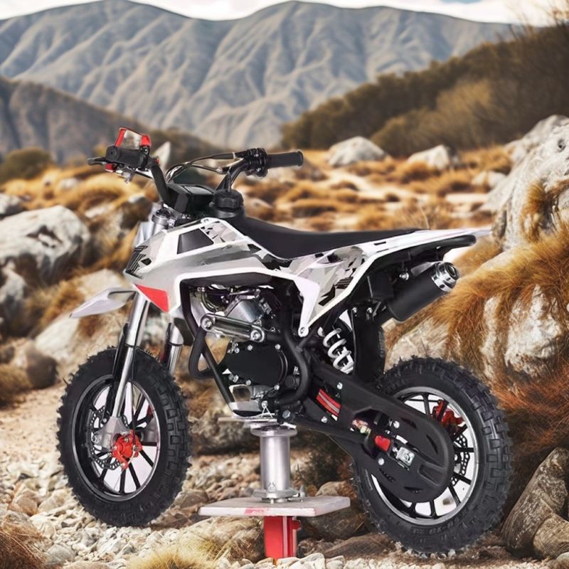 Couleurs supportées personnalisées Moteur 60CC 4 temps Vélo de terre pour enfants avec frein DISC