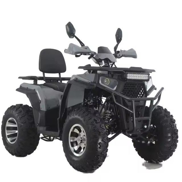 Aotong GY6 moteur 200CC/250CC quad automatique vélo pour adultes 10 pouces/12 pouces ATV ferme