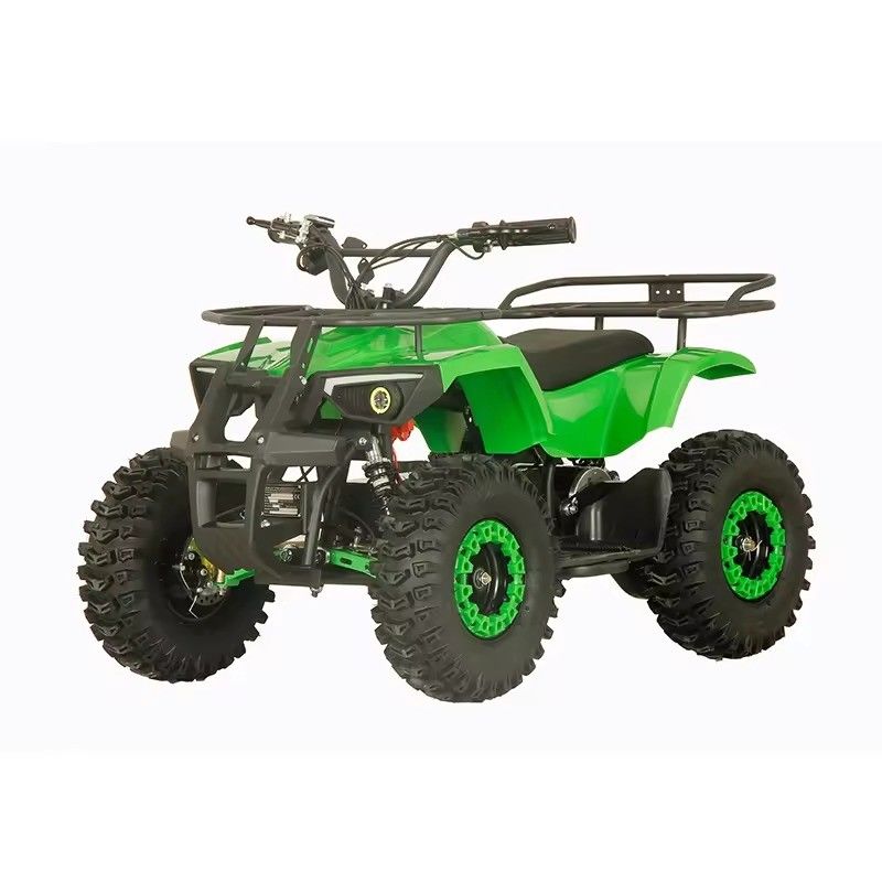 Street Legal 1200W ATV Quatre roues Quad Bike avec 2 roues à roue et 30-50 km de kilométrage