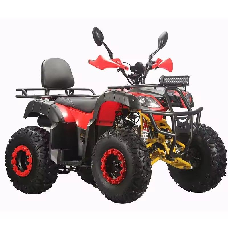 Transmission à chaîne 150cc 200cc 250cc 2x4 ATV quad pour adultes avec CE et efficacité