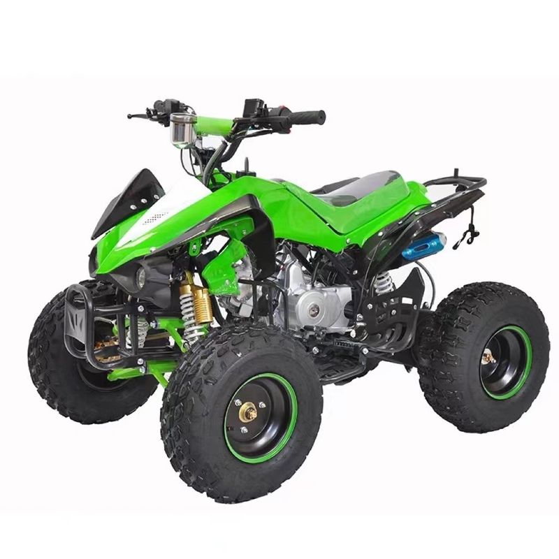 Système de freinage à disque arrière 90cc 110cc 125cc 1 cylindre ATV hors route pour enfants