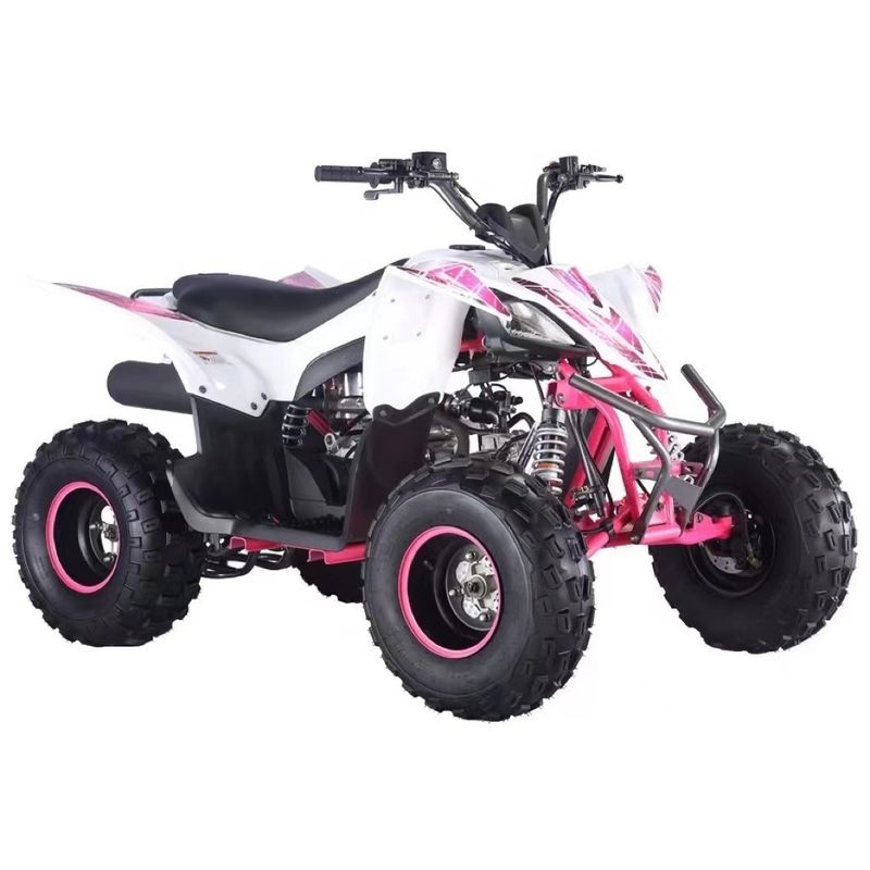 125cc Aotong Motor ATV Farm Quad Bike Transmission automatique Couleurs personnalisées prises en charge