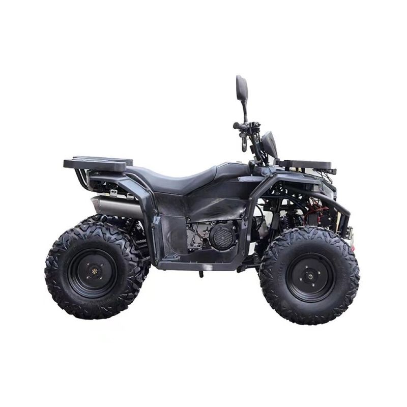 Moteur de 150 cc Tubes d'acier personnalisées Automatique Atv Utv Pièces d'accessoires pour deux personnes