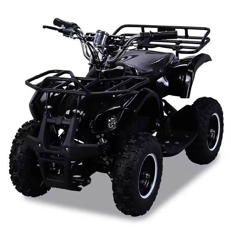600-1000 mm d'empattement 36V 800W Mini ATV électrique avec transmission CE et CHAIN DRIVE