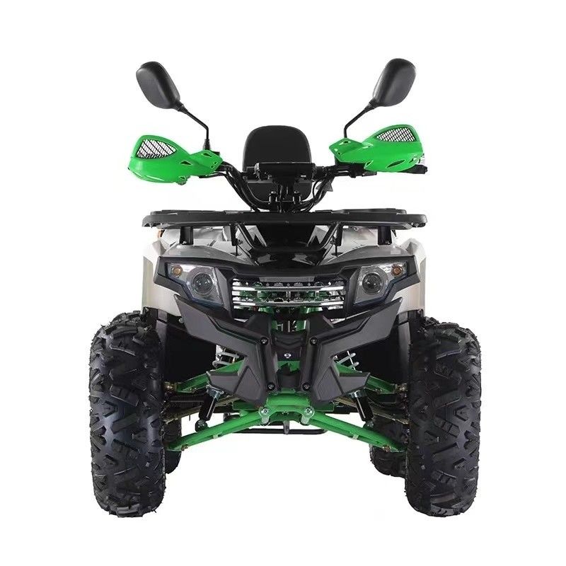 Frénésie à disque 1200W/1500W 60V ATV électrique à quatre roues avec support de couleurs personnalisées