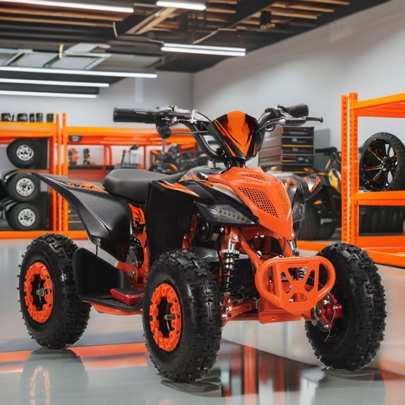 2 roues motrices Aotong 800w1000W 36V hors route Quad ATV Quad Bikes avec transmission à chaîne