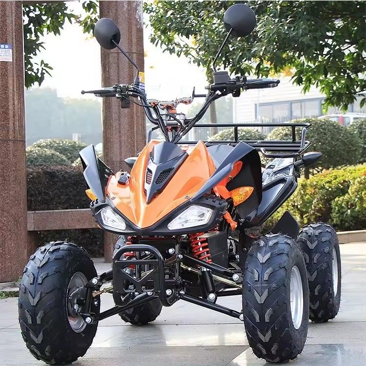 800w/1000w 48v/60v ATV moteur sans balai électrique 4 roues Quad Bike ATV pour une conduite en douceur