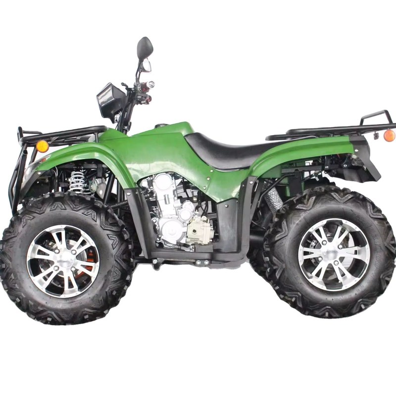 DISC frein 250cc ATV Cuatrimoto pour les normes et la taille du pneu 23X7-10/22X10-10