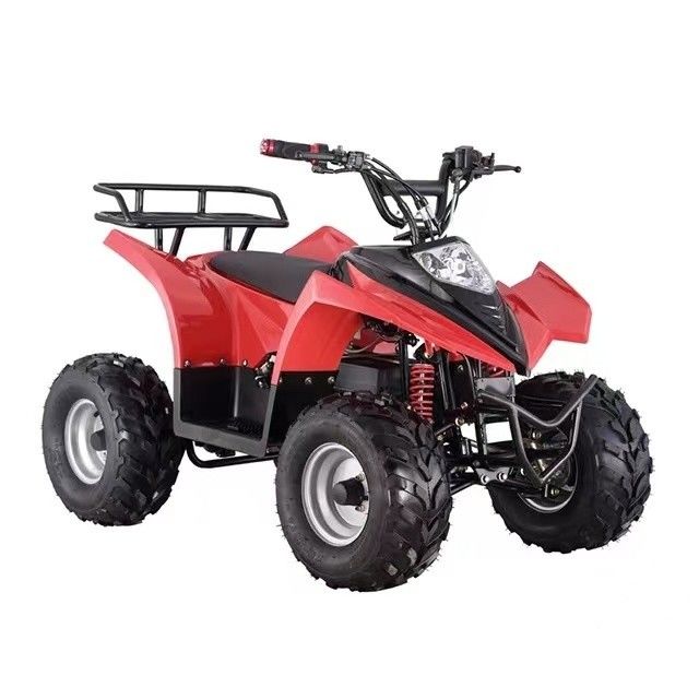 Quad ATV électrique pour enfants 750W 800W 1000W 48V pneu 16x8-7 kilométrage ≤30km