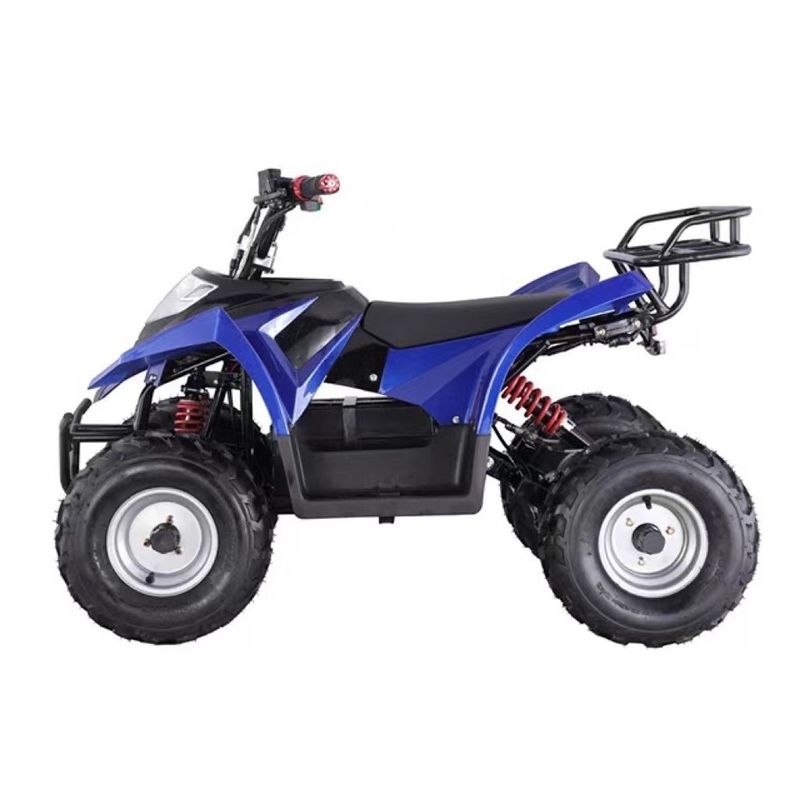 Piles au plomb-acide Quad Bike électrique pour adultes 8 pouces pneus et capacité de classement ≥ 25°