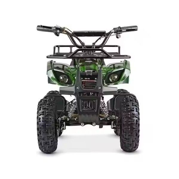 Couleurs supportées personnalisées Mini ATV électrique Quad électrique pour enfants 1000W 36V