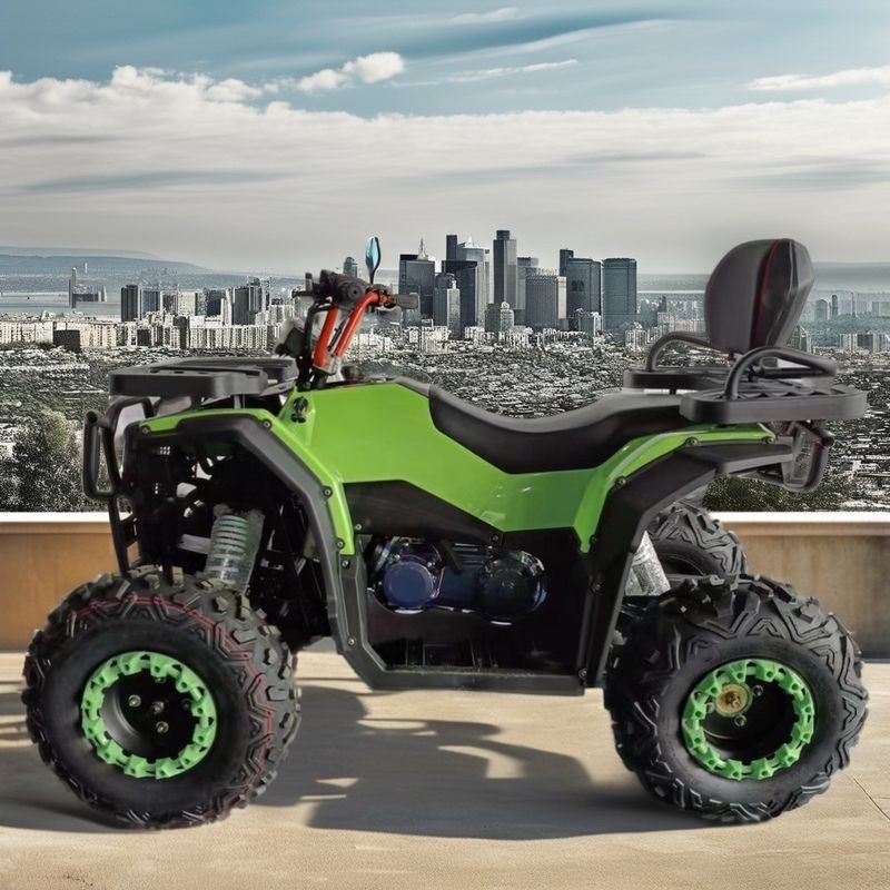 250cc cylindrée quatre temps refroidi à l'air à l'essence ATV moto pour le plaisir de conduite 2WD
