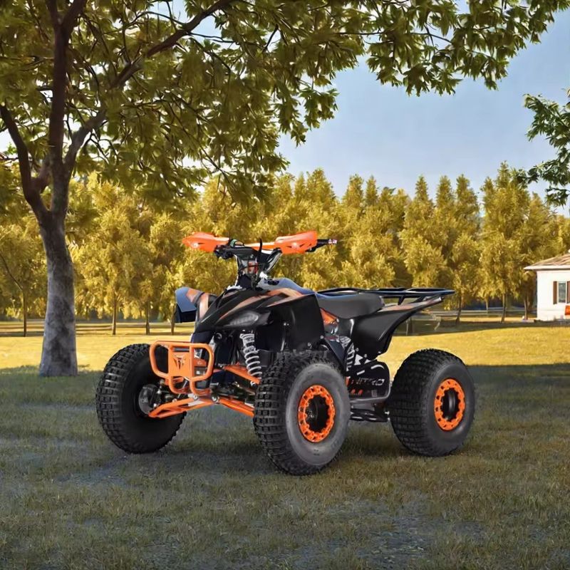Moteur Aotong Puissance électrique Long Voyage 1500W Adult Quad 4x4 Mini Electric ATV Quad
