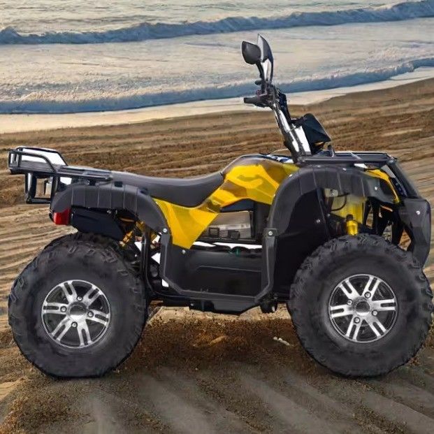 Vitesse maximale de 50 à 75 km/h VTT électrique de 3000 W avec 4 roues motrices et boîte automatique de 60 V