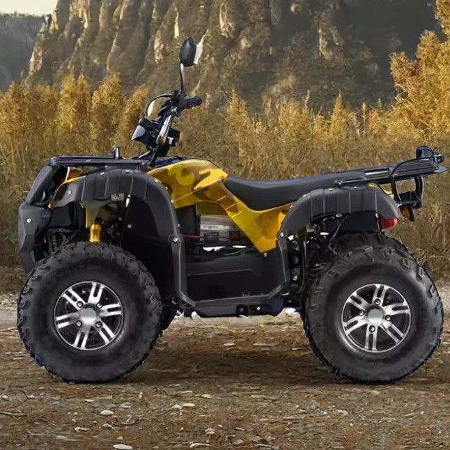 Adultes 3000W ATV électrique quad à gaz 2WD 4WD avec une vitesse maximale de 50-75Km/h