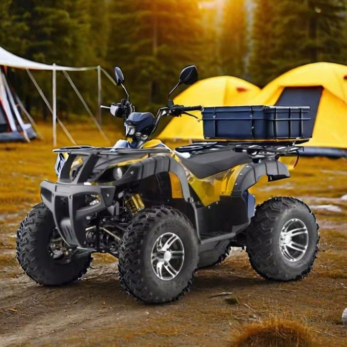 3000W 2wd/4wd ATV UTV Route Motocyclette tout-terrain à quatre roues avec type de conduite commutable